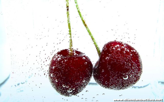 Tìm hiểu với hơn 112 hình nền trái cây dễ thương hay nhất  Tin học Đông Hòa