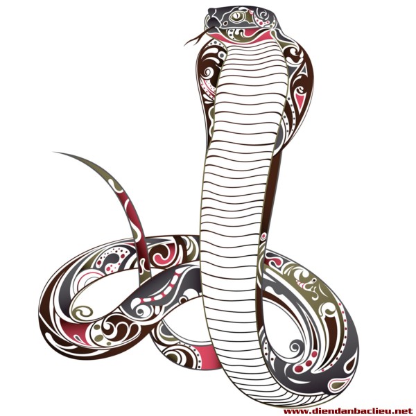 Bạn đang tìm kiếm những vẽ rắn 3D tuyệt vời và độc đáo? Hãy đến với chúng tôi và thưởng thức những bức vẽ rắn hổ mang sống động nhất với đầy đủ chi tiết và sự chân thực. Bạn sẽ được chứng kiến những tác phẩm nghệ thuật đẹp đến mê hồn, đầy sáng tạo và ấn tượng.