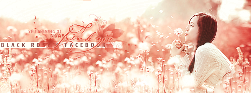 anh-bia-zing-me-1.png