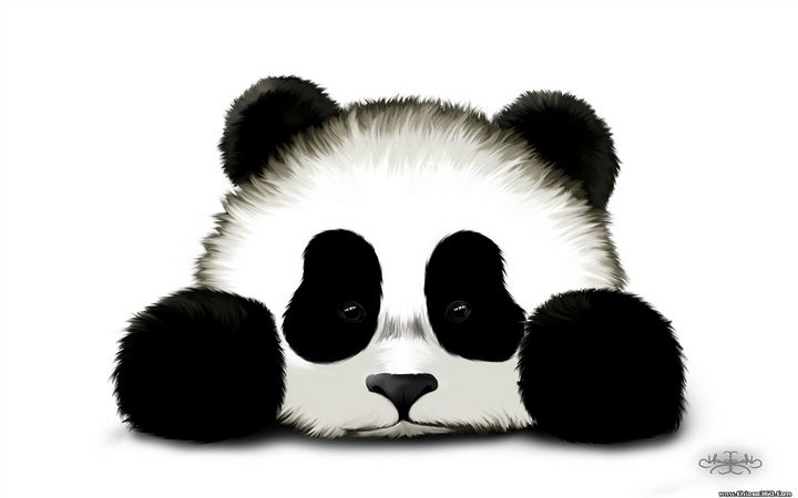 co-don-30.jpg