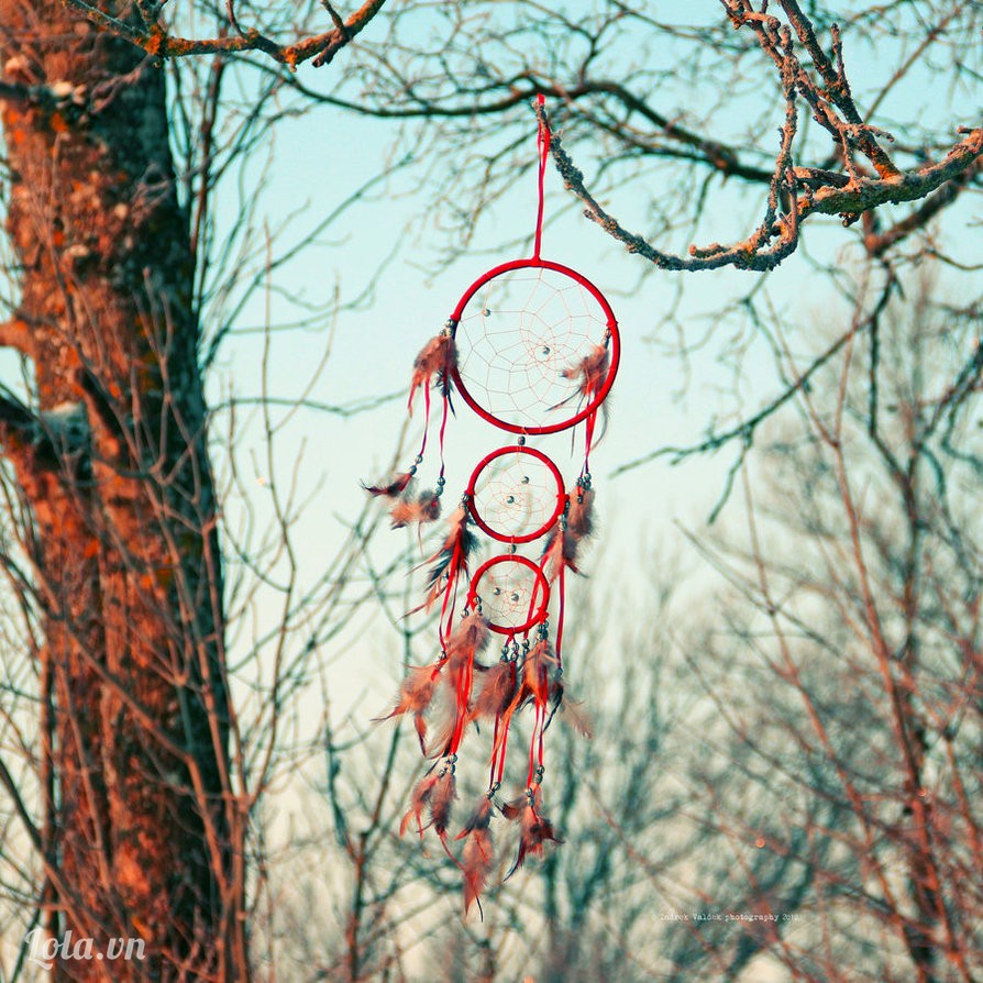 dreamcatcher-15.jpg