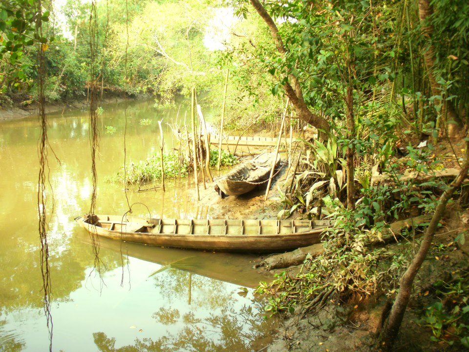 Hình Ảnh Đẹp Về Miền Tây Sông Nước Nam Bộ Việt Nam | Vfo.Vn