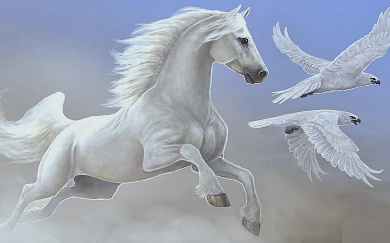 Hình Ảnh Con Ngựa Đẹp 2014 Giáp Ngọ | Vfo.Vn