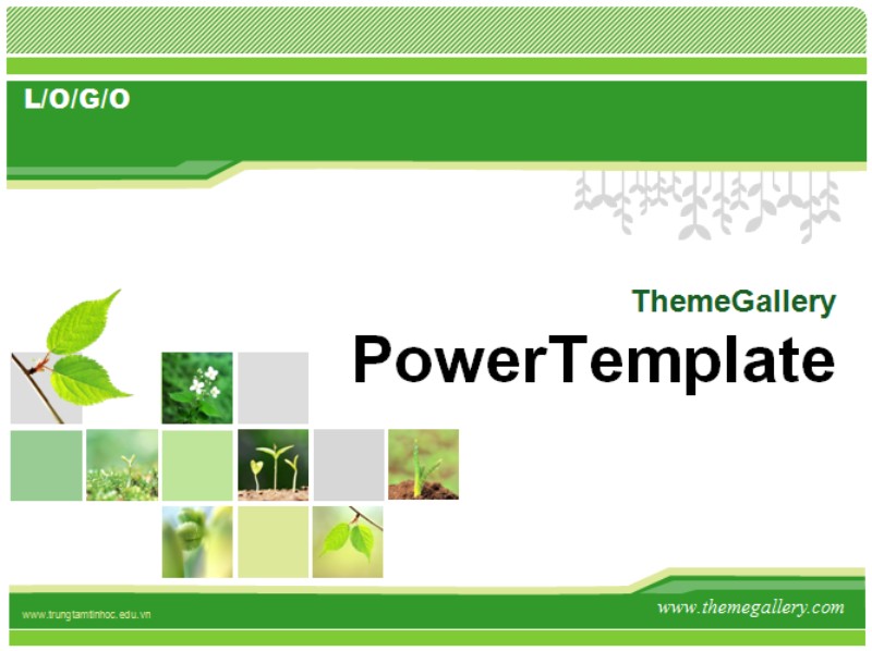 template-powerpoint-4.jpg