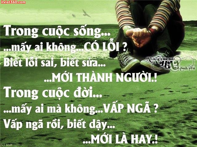 anh-chu-y-nghia-ve-tinh-yeu-cuoc-song-1.jpg