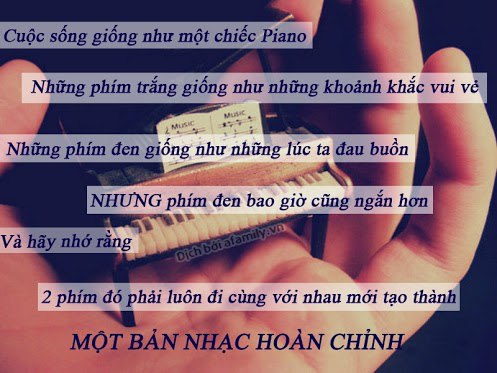 anh-chu-y-nghia-ve-tinh-yeu-cuoc-song-16.jpg