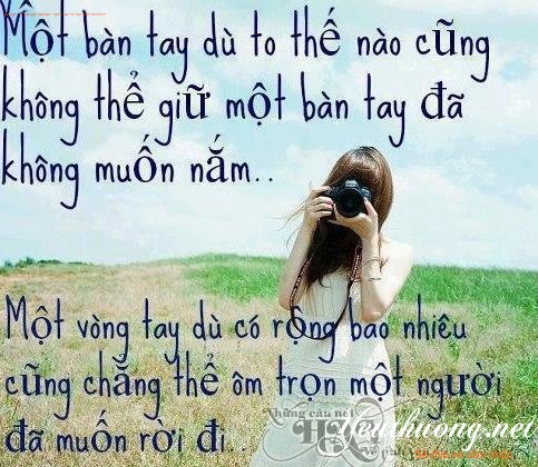 anh-chu-y-nghia-ve-tinh-yeu-cuoc-song-3.jpg