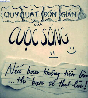 anh-chu-y-nghia-ve-tinh-yeu-cuoc-song-3.png