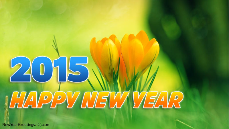 happy-new-year-2015-16.jpg