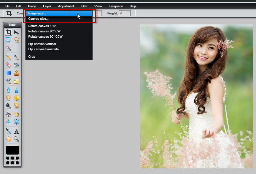 Hướng Dẫn Cắt Ảnh, Thu Nhỏ Kích Thước Hình Ảnh Bằng Photoshop Online |  Vfo.Vn