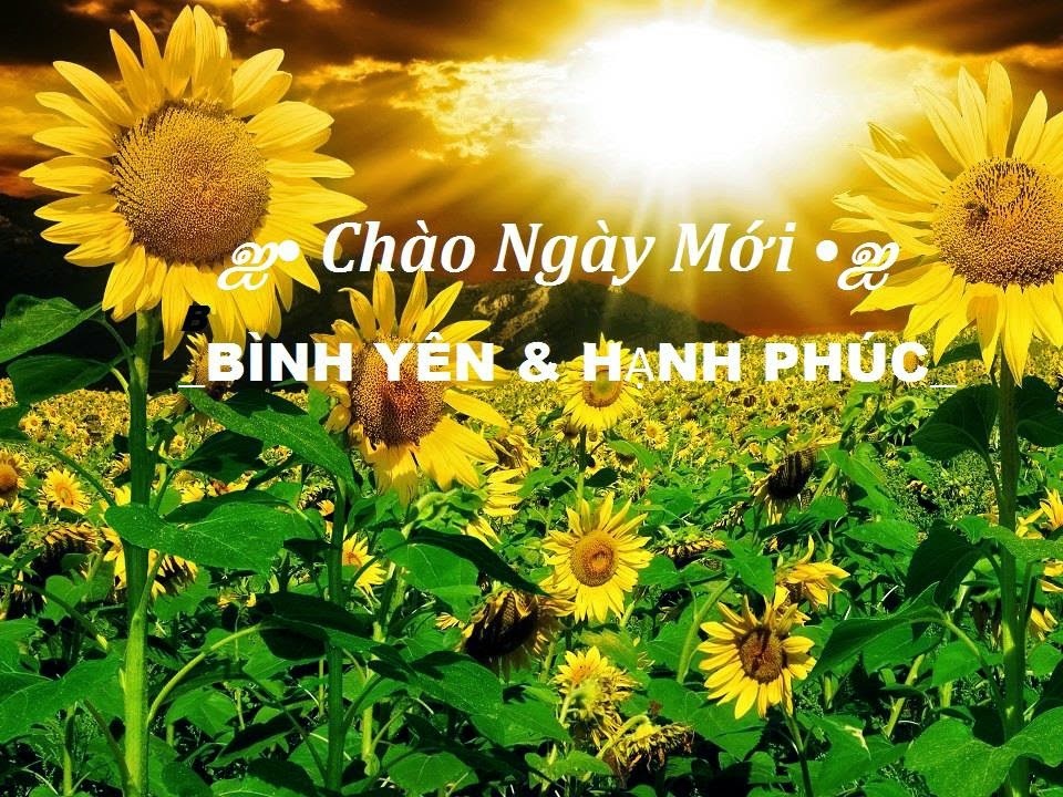 30 lustige Guten-Morgen-Bilder für einen guten Tag Hanoi Spirit Of Place