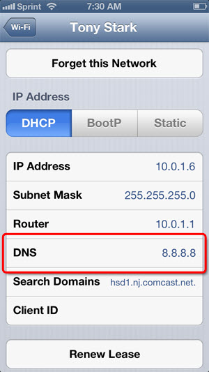 doi-dns-iphone-3g-4-4s-2.jpg