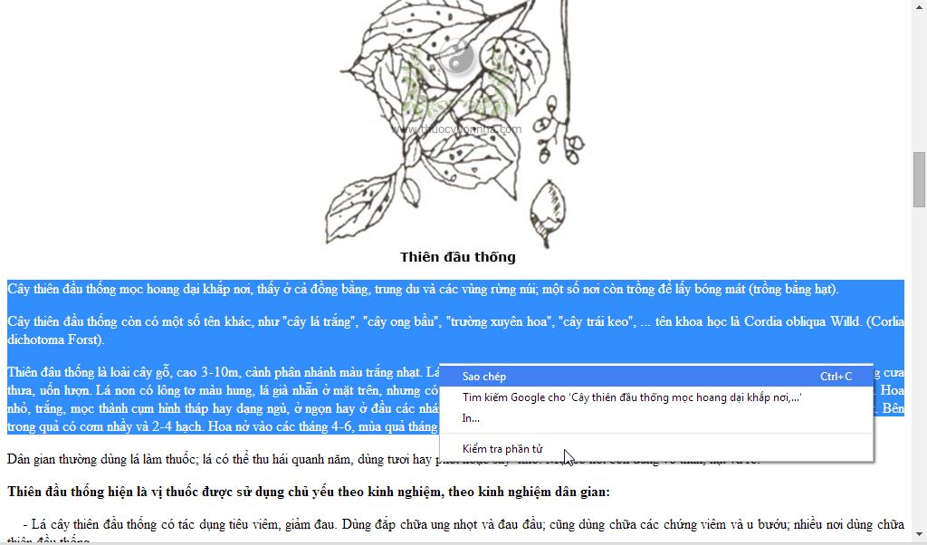 copy4.jpg