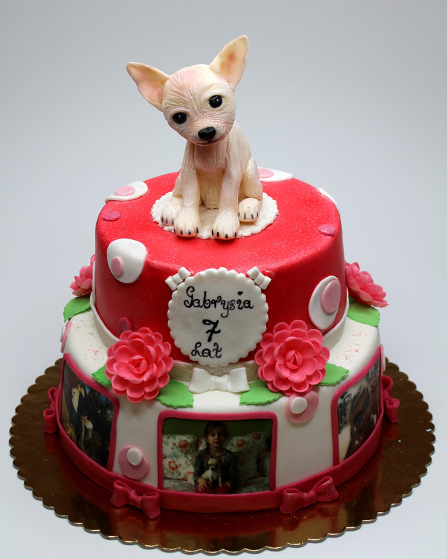Bánh kem sinh nhật tạo hình 3d con chó tuổi tuất số 1 màu xanh dễ thương  bán rất chạy | Bánh Kem Ngộ Nghĩnh