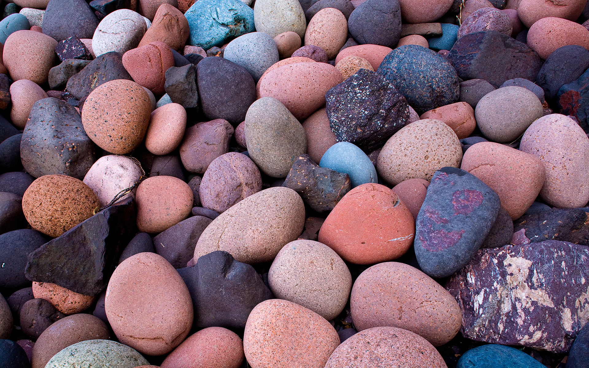 Chia sẻ với hơn 54 về hình nền sen đá mới nhất  Du học Akina