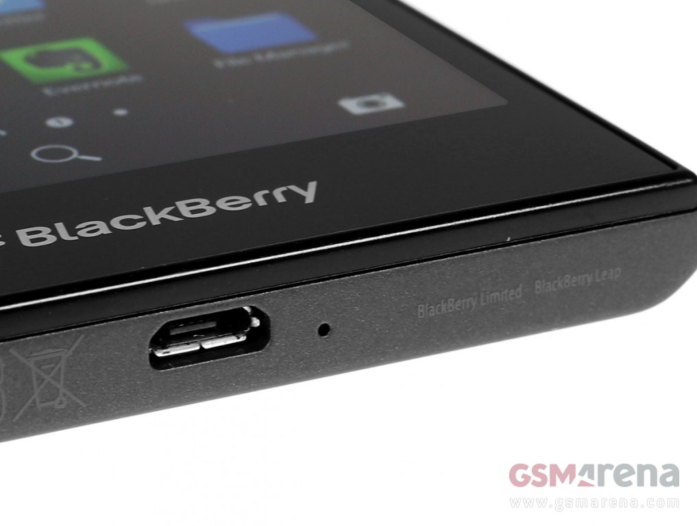 blackberry-leap4.jpg