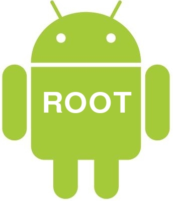 root.jpg