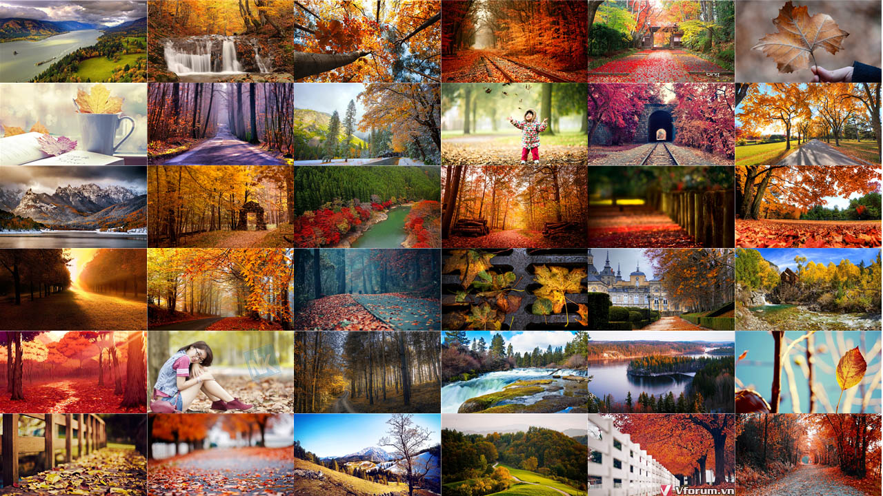 100 Hình nền phong cảnh mùa thu đẹp nhất cho máy tính 2015 | VFO.VN