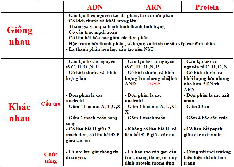 adn-va-arn.jpg