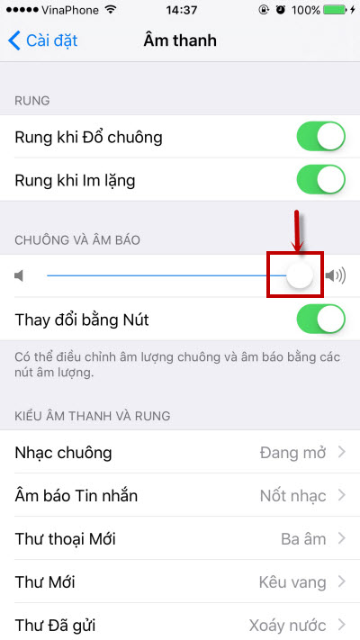 iphone-khong-do-chuong-chi-rung.jpg