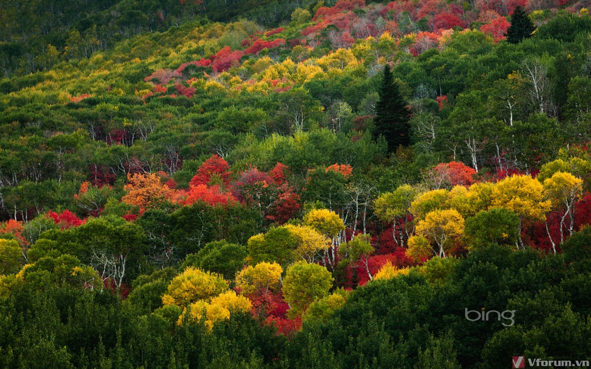parkcitycolors-1920x1200.jpg