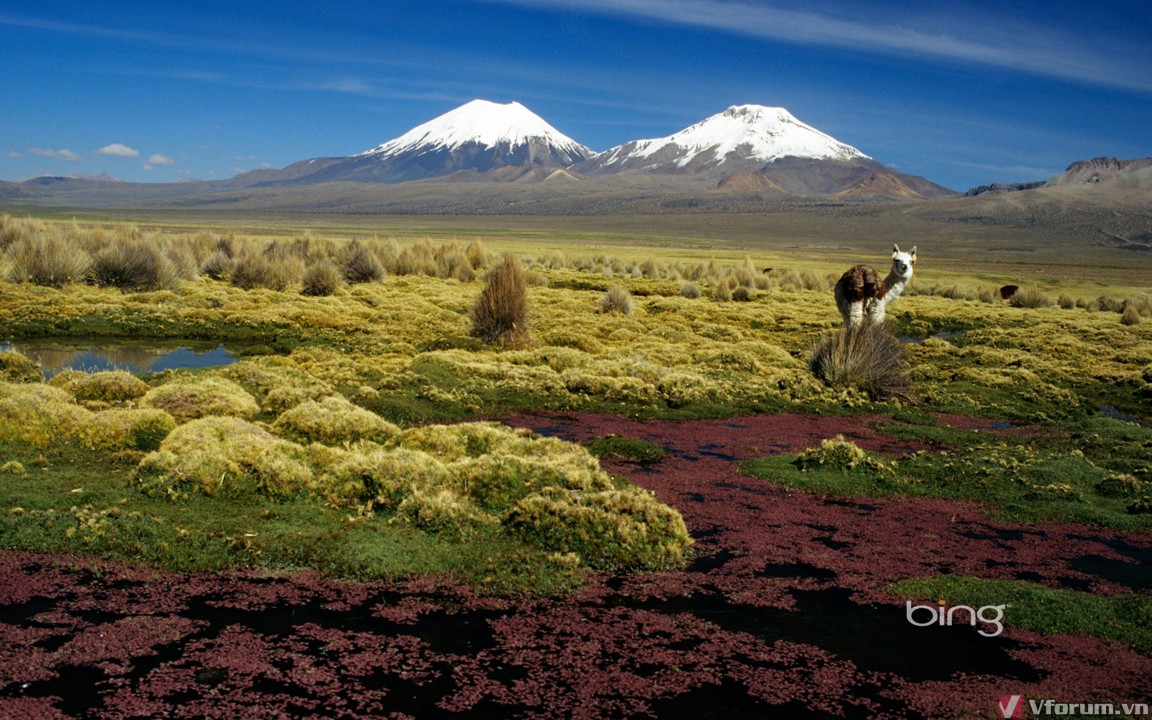 sajama-1920x1200.jpg