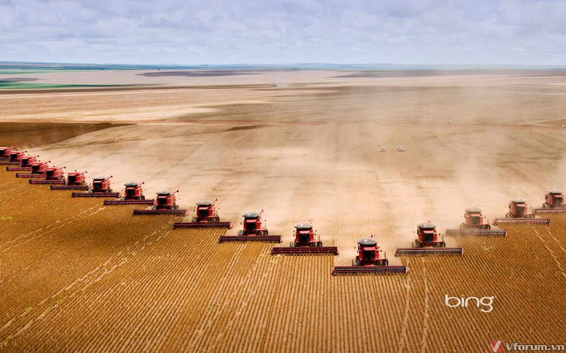soyfarming-1920x1200.jpg