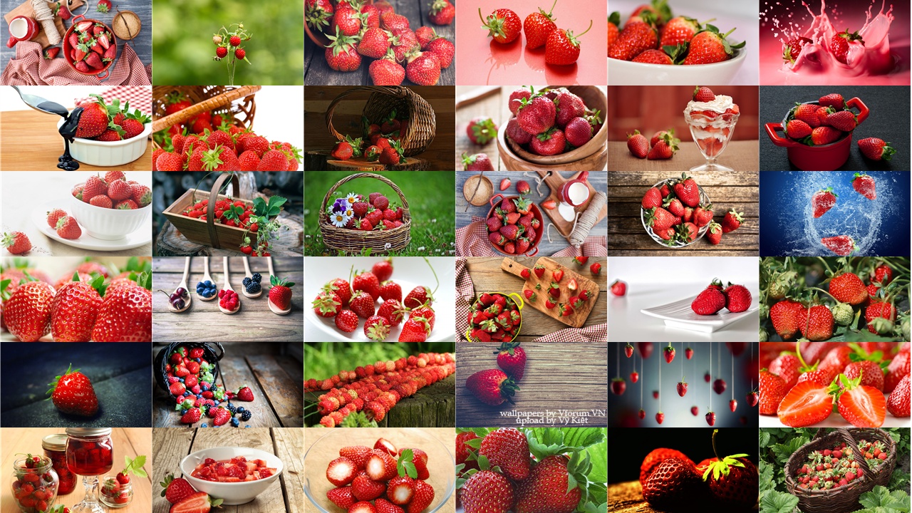 Top 89 hình ảnh trái dâu tây đẹp căng mộng thơm ngon nhìn phát thèm