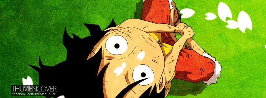 Tuyển Tập Những Ảnh Bìa One Piece - Vua Hải Tặc Đẹp Nhất Cho Facebook |  Vfo.Vn