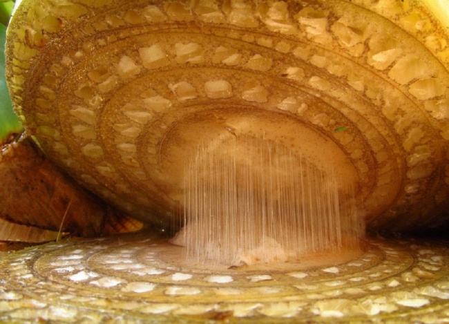 anh-dep-tu-kinh-hien-vi-17.jpg
