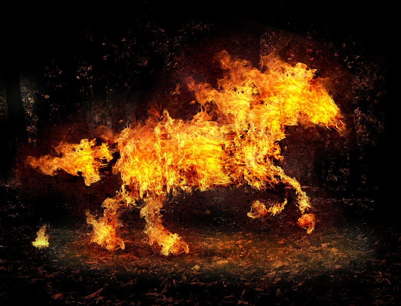 Hình Ảnh Ngựa Lửa 3D Đẹp Nhất | Vfo.Vn