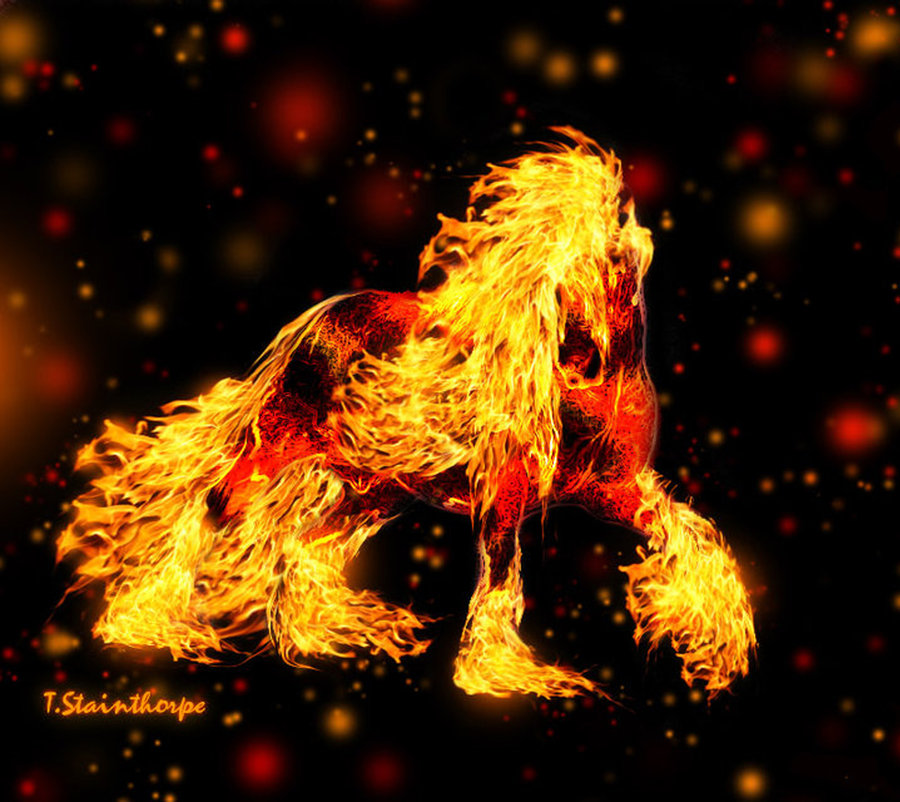 Hình nền  nghệ thuật số động vật Nghệ thuật tưởng tượng con ngựa ngọn  lửa Thần thoại Ngọn lửa bóng tối Ảnh chụp màn hình Hình nền máy tính  Nhân vật