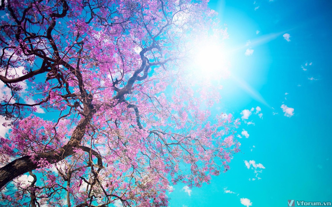 Tổng hợp 106+ hình nền mùa xuân full hd tuyệt vời nhất - POPPY