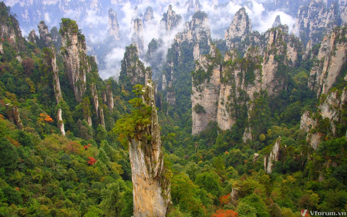 Khám phá hơn 86 ảnh rừng núi đẹp không thể bỏ qua - thtantai2.edu.vn