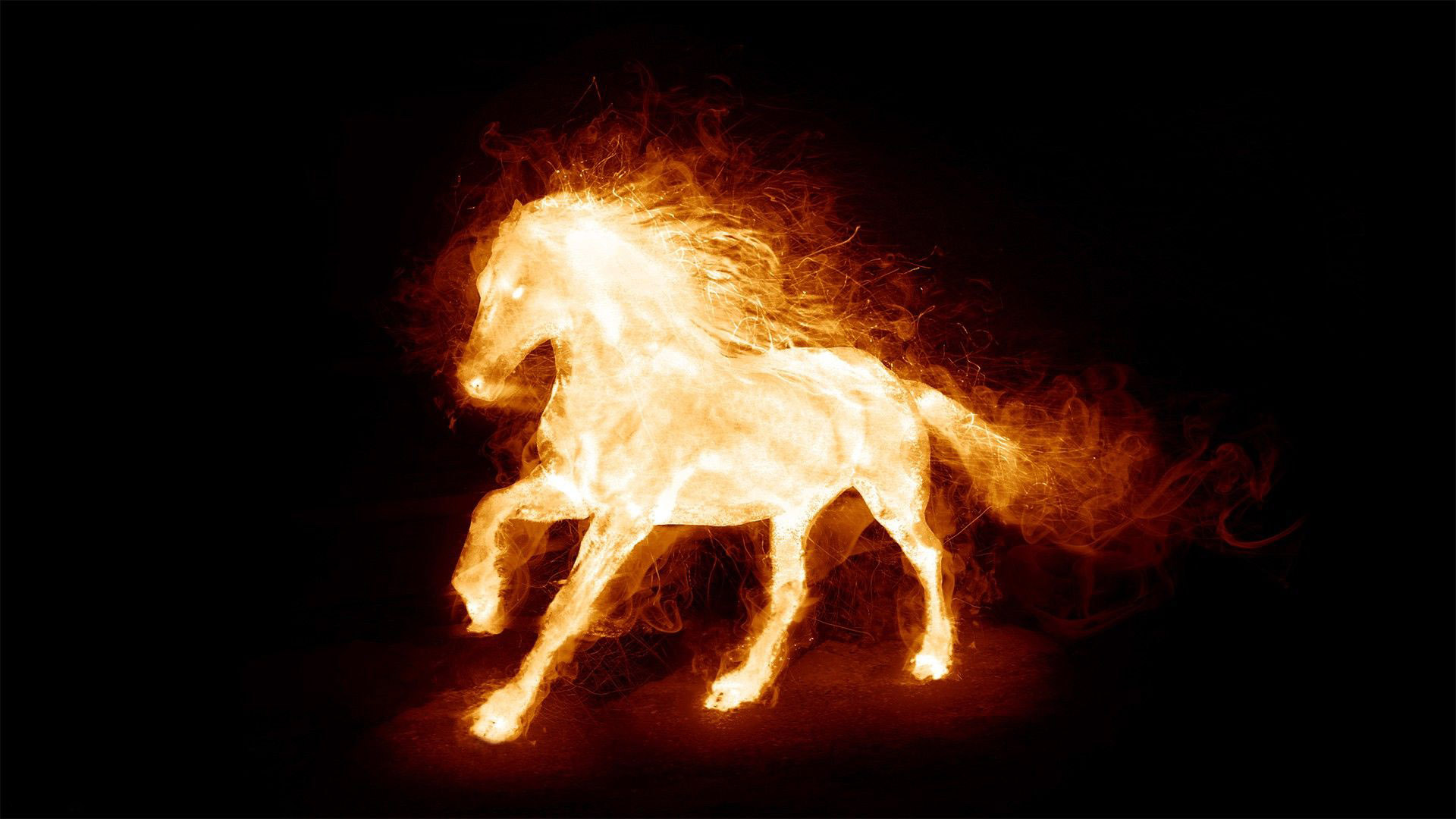 Hình ảnh Ngựa Lửa PNG Vector PSD và biểu tượng để tải về miễn phí   pngtree