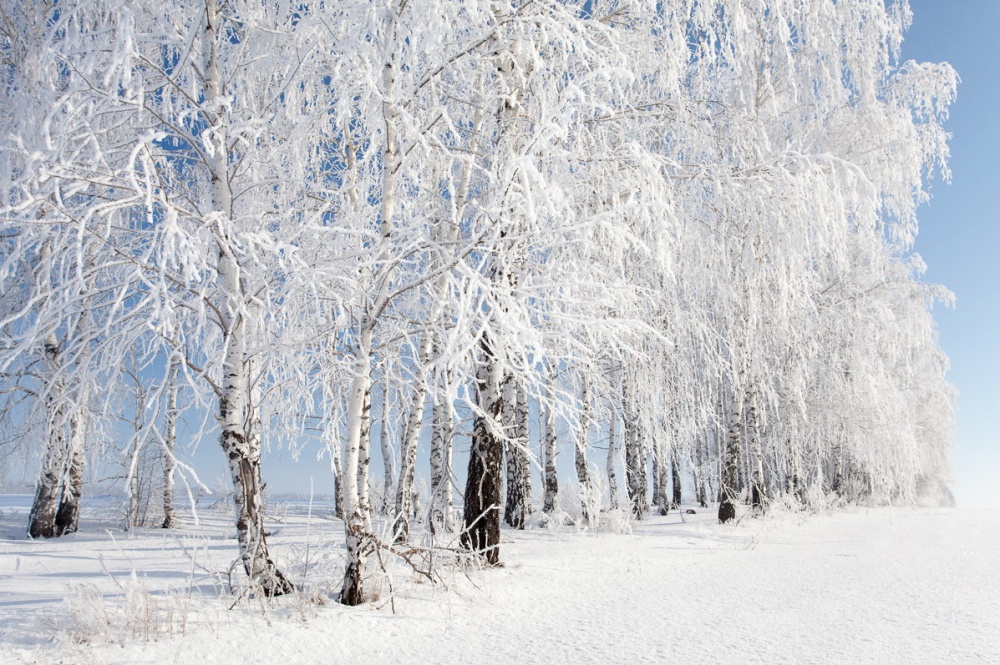 Chiêm ngưỡng những hình ảnh mùa đông ở Nga tuyệt đẹp 