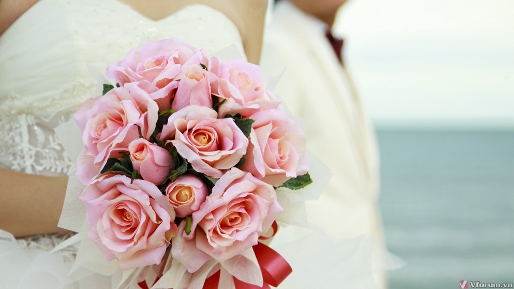 hinh-nen-hoa-hong-rose-wallpapers-21.jpg