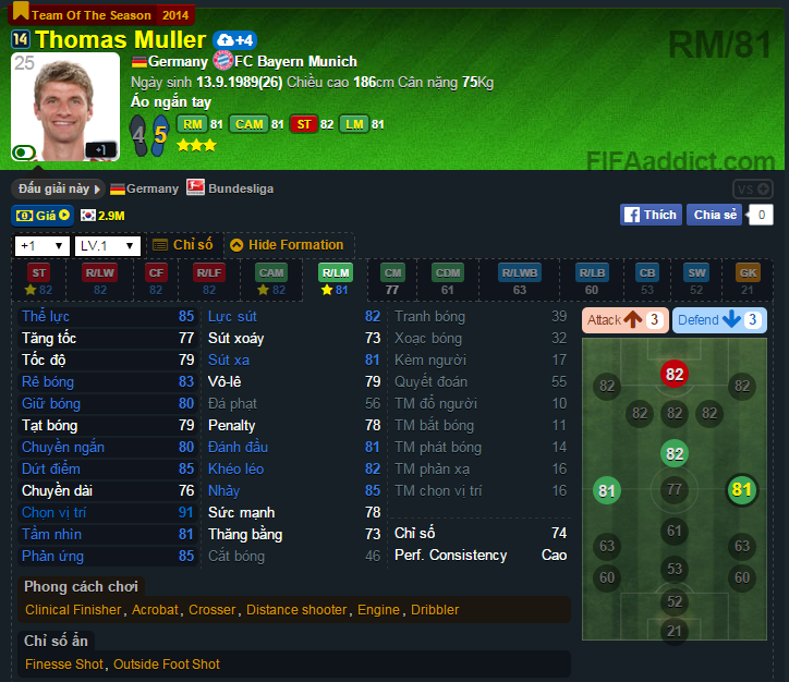 muller(6).png