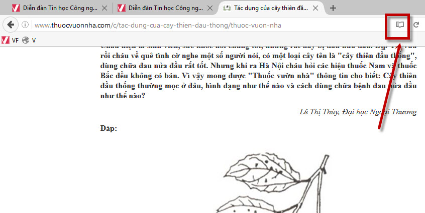 copy-tru-trang-web-chan-khong-cho-copy.jpg