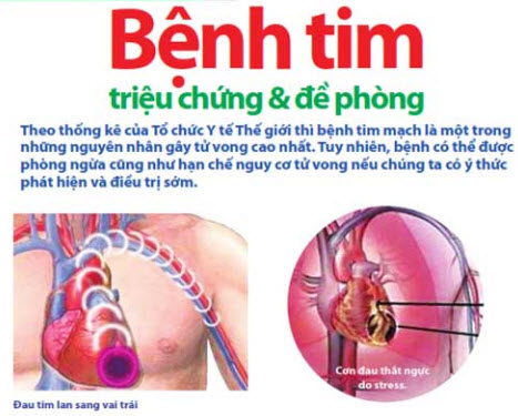 benh-tim(3).jpg