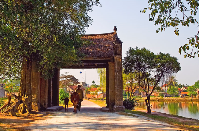 gan-ha-noi(1).png