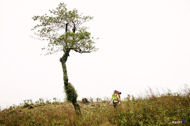 lao-cai(11).jpg