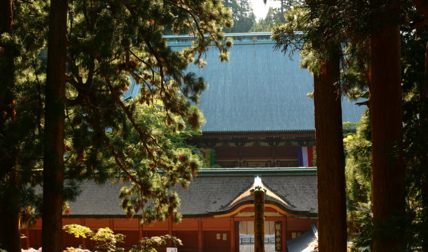 nhat-ban(20).jpg