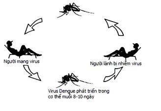 sot-xuat-huyet(4).jpg