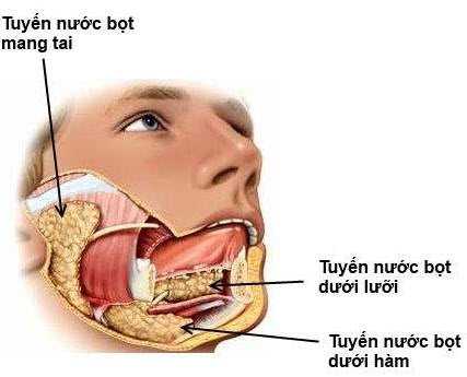 ung-thu-tuyen-nuoc-bot.jpg