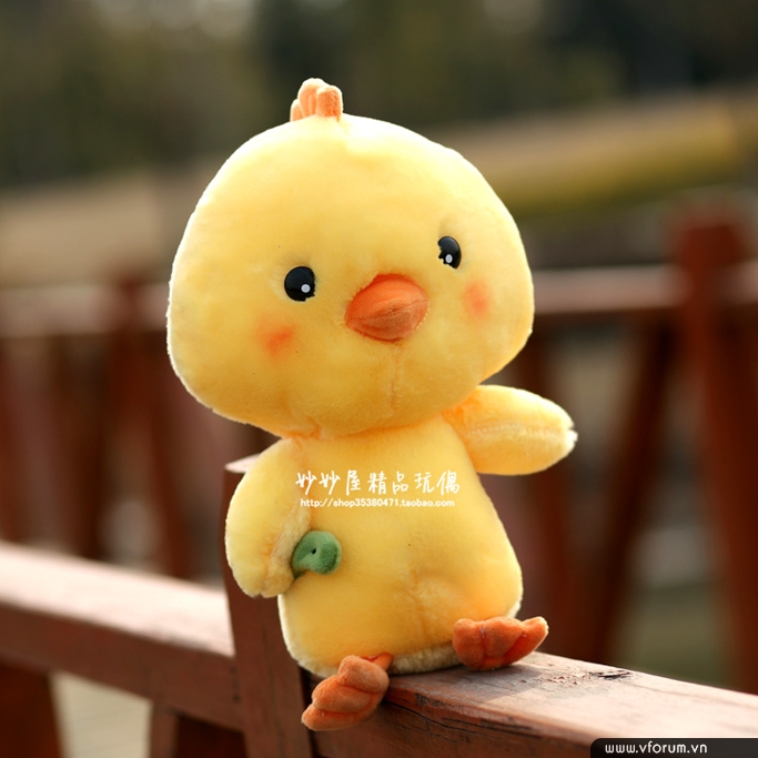 hinh-anh-con-ga-dinh-dau-2017-35.jpg