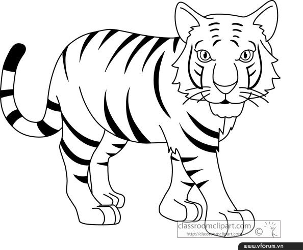 Những hình ảnh, hình nền con hổ - Tiger đẹp nhất 