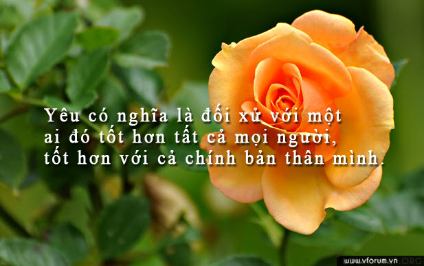 hinh-anh-danh-ngon-tinh-yeu-y-nghia-1.jpg