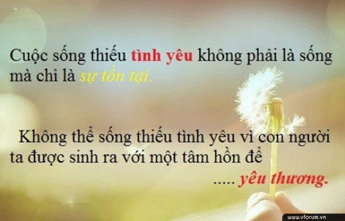 hinh-anh-danh-ngon-tinh-yeu-y-nghia-17.jpg