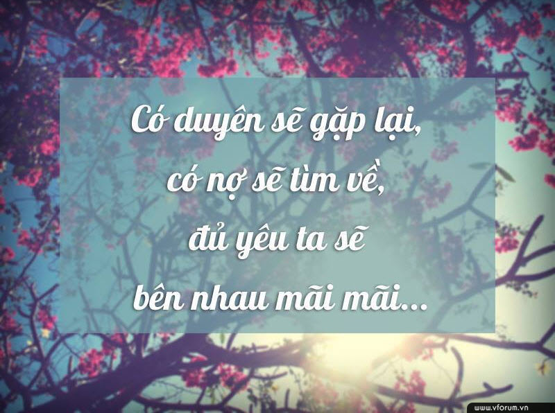 hinh-anh-danh-ngon-tinh-yeu-y-nghia-2.jpg